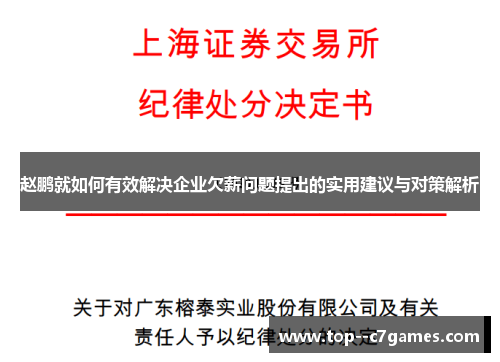 赵鹏就如何有效解决企业欠薪问题提出的实用建议与对策解析