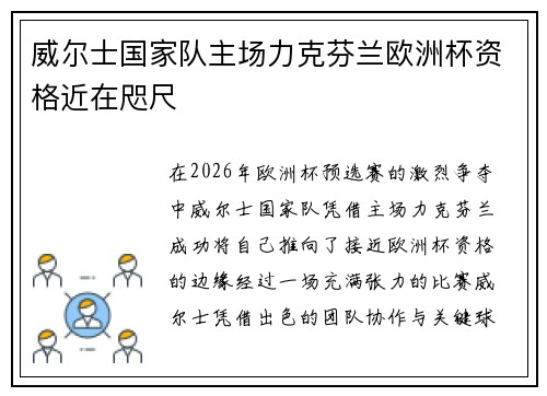 威尔士国家队主场力克芬兰欧洲杯资格近在咫尺
